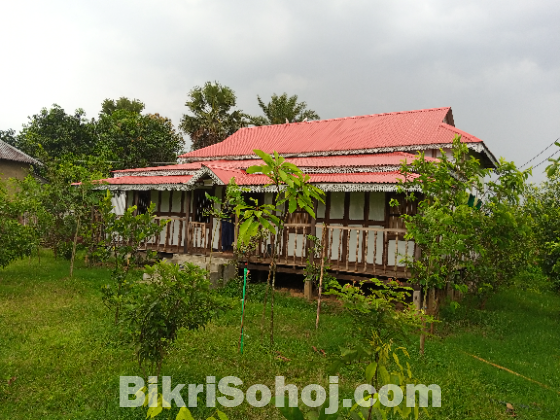 ৫০০ দেশি বিদেশি গাছসহ ৯০ শতাংশ বাগানবাড়ি বিক্রয়
